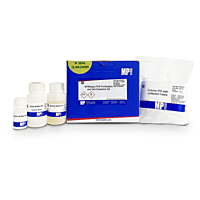 SPINeasy® PCR Purification and Gel Extraction Kit, 50 preps MPBio