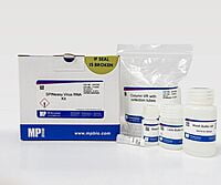 SPINeasy® Virus RNA Kit 50preps MP