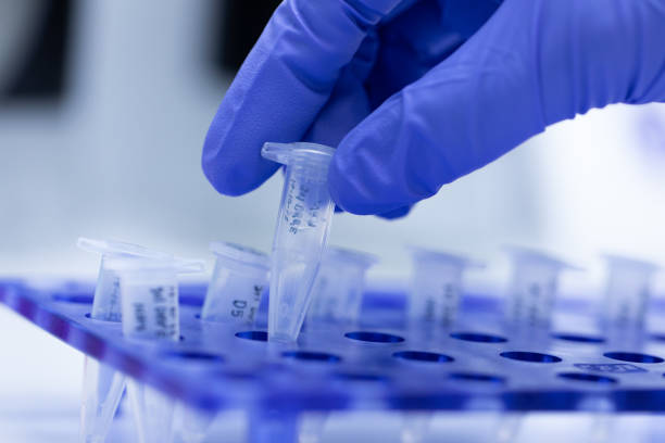 Molecular Biology