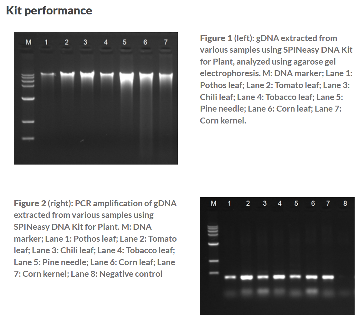 SPINeasy® DNA Kit for Plant 50preps MP SPINeasy® DNA Kit for Plant 50preps MP