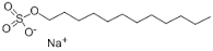 Sodium Lauryl Sulphate (SDS, SLS) 25gm for Molecular Biology, 99% SRL Sodium Lauryl Sulphate (SDS, SLS) 25gm for Molecular Biology, 99% SRL
