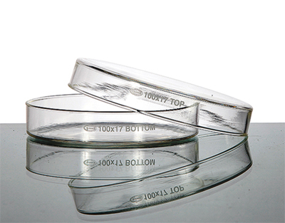 Petri DIsh Manufactured from BORO 3.3 Glass GLASSCO Petri DIsh Manufactured from BORO 3.3 Glass GLASSCO