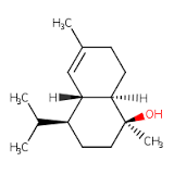 Immersion Oil 125ml Synthetic for microscopy SRL