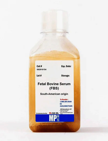Fetal Bovine Serum (FBS) USDA approved 500ml MP Fetal Bovine Serum (FBS) USDA approved 500ml MP