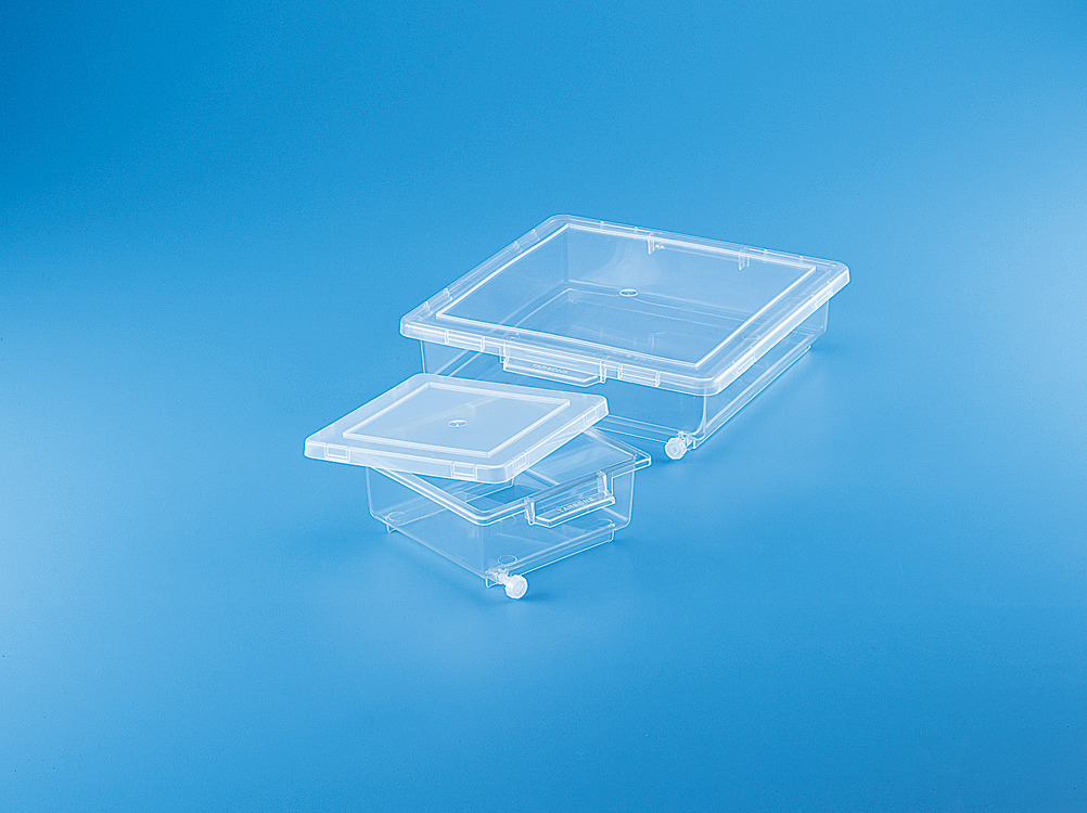 Staining Box, PP TARSONS Staining Box, PP TARSONS