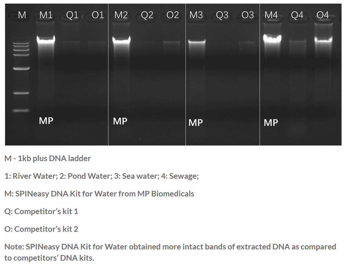 SPINeasy® DNA Kit for Water 50preps MP SPINeasy® DNA Kit for Water 50preps MP